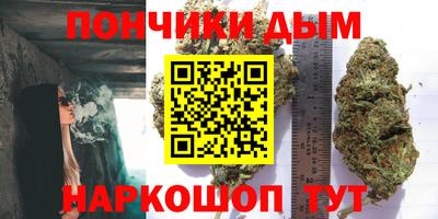 прущие крисы Гагарин