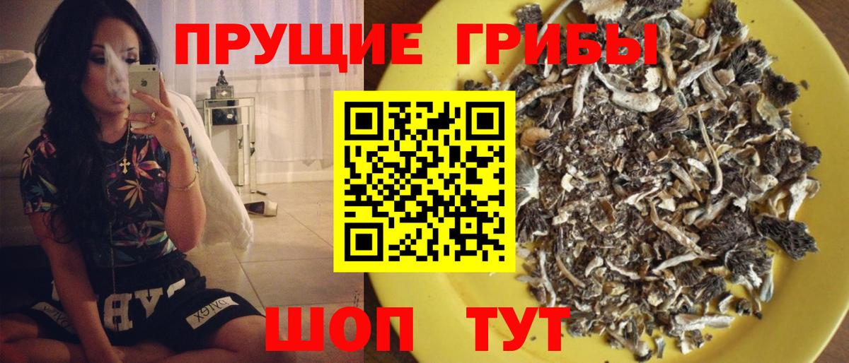 Галлюциногенные грибы мухоморы  Галлюциногенные грибы MAGIC MUSHROOMS  Балаково  Вход с VPN 